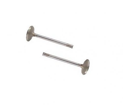 Intake & Exhaust Valves (Dieselmotoren) Intake & Exhaust Valves (Dieselmotoren)