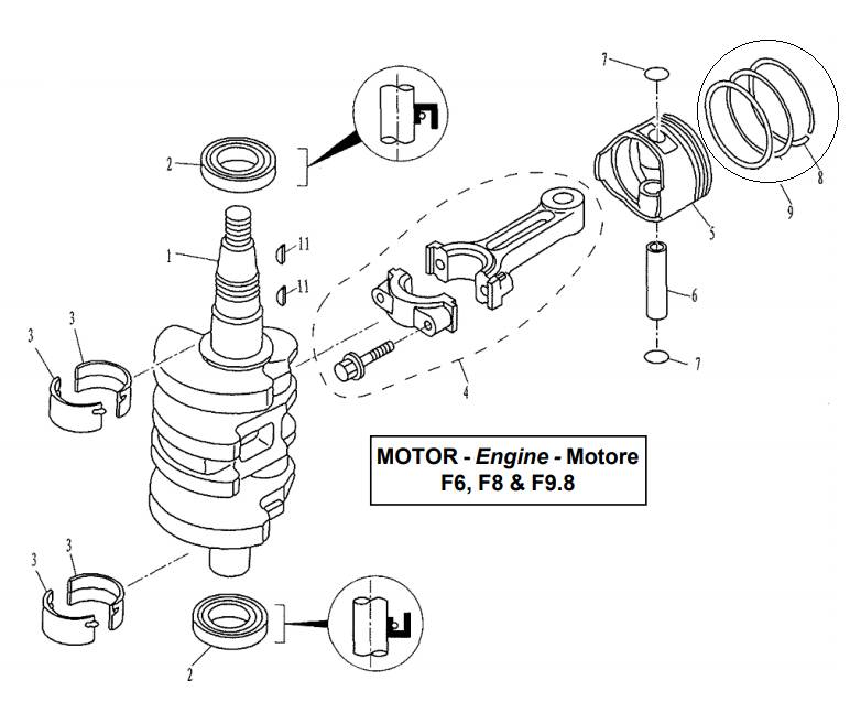 Crankshaft & Piston Crankshaft & Piston