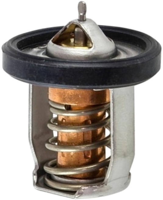 Thermostaten Thermostaten