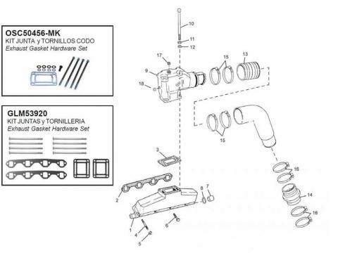 5.0L / 5.8L & 351 EFI FORD 302/351 CID V8 (vanaf 1991)