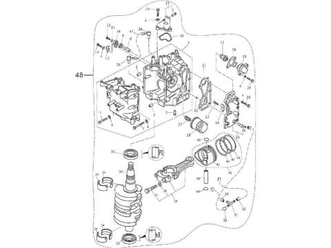 Engine Assembly