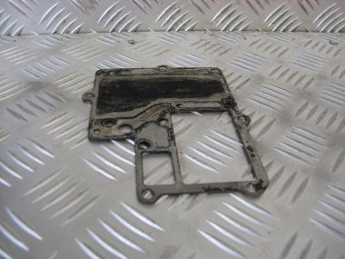 Yamaha 6/8A 2t Uitlaat plaat (647-41116-00)