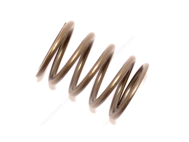 Yamaha/Mercury F8/F9.9 Valve Inner Spring (6G8-12113-00-00)