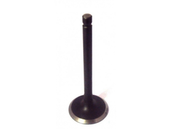 Yamaha / Mercury F8 / F9.9 Intake Valve of Exhaust Valve (6G8-12111-00-00, 6G8-12121-01-00)