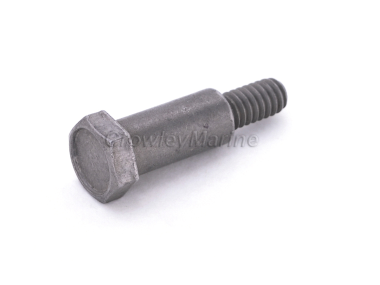 OMC/Johnson evinrude 40/50 PK Scroef (0314136)