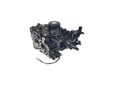 Parsun/Yamaha Powerhead / Cylinder Block Assembly (PAF20-05000000 6AH-W009B-03-1S)