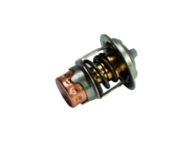 Mercury Thermostat (8M0223832)