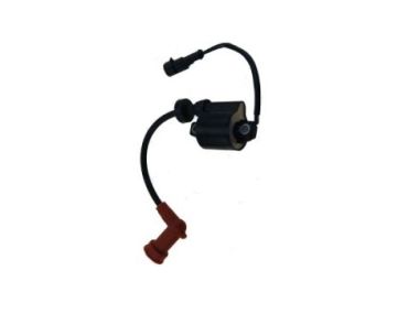 Parsun Ignition Coil Assembly (PAF20-05000400EFI)