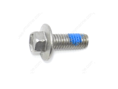 Mercury Screw (M6x 16) HEX 82130016