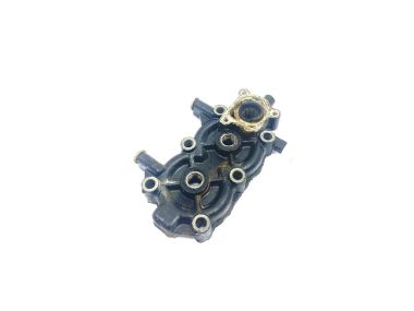 Johnson / Evinrude 6 HP 2-Cyl. Cylinder Head (0335895)
