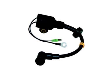 Yamaha / Mercury / Tohatsu Bobine (61N-85570-01, 823033)