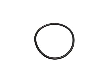 Johnson Evinrude O-RING 40-75 HP (313754)