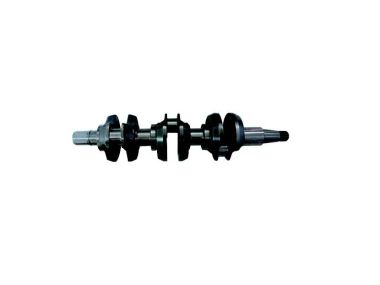 Johnson Evinrude CRANKSHAFT (334665)