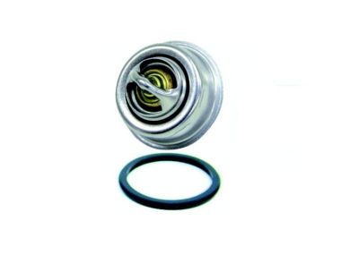 Volvo Penta Thermostat Kit (Diesel) (877355)