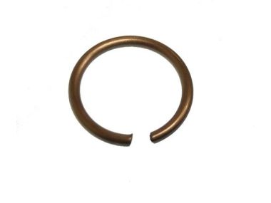 Parsun / Yamaha  spring, plate (PAF4-04130007)