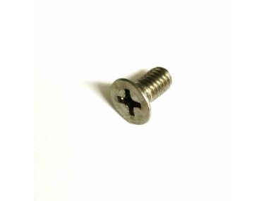 Parsun screw M4x8 (PAGB/T818-M4x8)