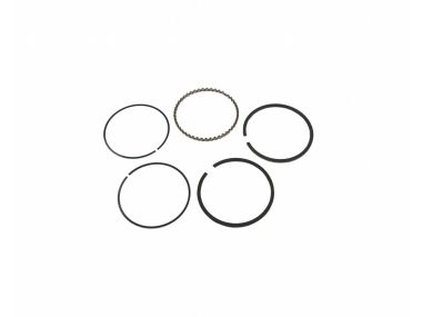 General Motors Piston Rings (FEDE-251K030)