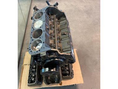 GM Mercruiser/OMC/Volvo 5.0L 305 V8 76-85 Long block