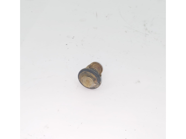 yamaha thermostat 66M124110100