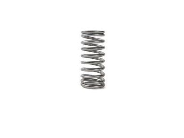 Volvo VALVE SPRING AQAD30A MD30A TAMD30A (1545198)