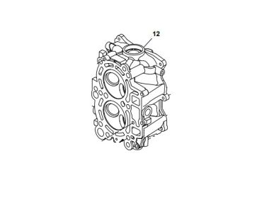 Yamaha / Parsun  CYLINDER HEAD ASSY F15 / F20 07+  6AH-11111-00