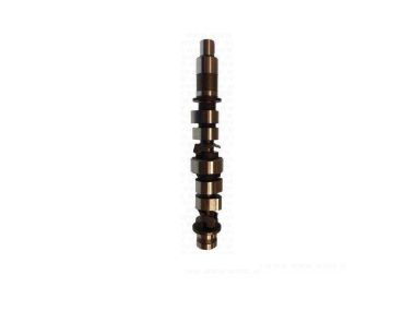 Yamaha / Parsun CAMSHAFT ASSY F15 & F20 (6AH-12170-00)(PAF20-05030200)