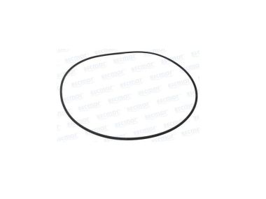 Yanmar O-Ring (105225-02020)