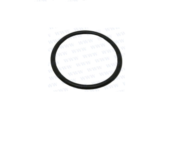 Parsun F40 O-RING (PAF25-01000005L)