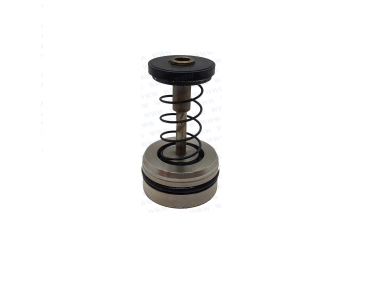 Parsun F40 Free Piston Sub Assembly (PAT40-10010100)