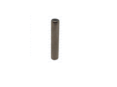 Parsun F40 Roller Ø4x21.8G2-2-4 (PAT85-06010705)