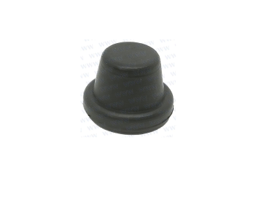 Parsun F50 & 60 CAP, GREASE NIPPLE (PAT85-01010210)