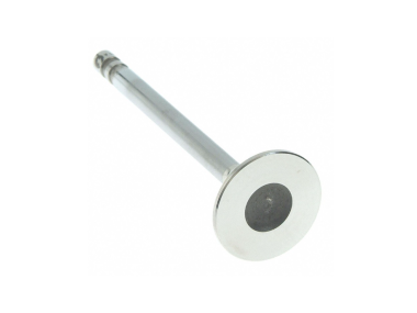 Mercruiser/General Motors Valve: Exhaust 4.1L, 5.0L & 5.7L (38-8,5-125,5) (2 slot) (34528)
